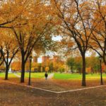 The New Haven Green looking southeast during a fall day.